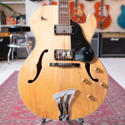 Washburn hollowbody - washburn, j3