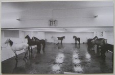 CLAUDIO ABATE  - Carton d