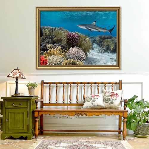 Poster corallo sottomarino - corallo,
