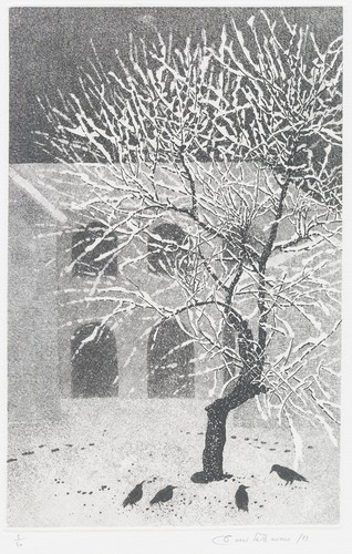 Terreno teresita neve - ,