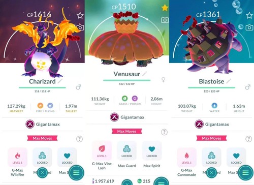 Shiny charizard blastoise - shiny,