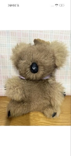 Giocattolo morbido orso - , koala