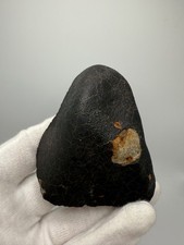 NWA 14211 LL4 Meteorite