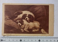 I122456 Cartolina illustrata