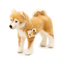 Shiba Inu di Kosen/Kös -