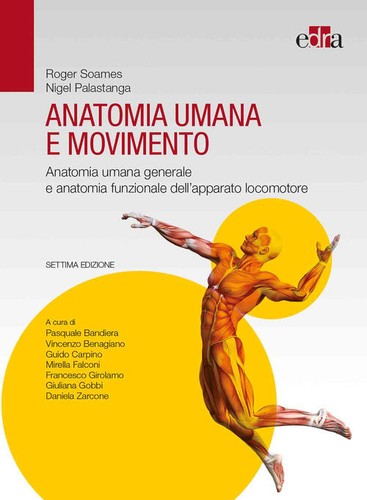 Anatomia umana movimento - e,