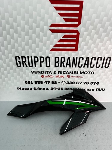 Carena anteriore kawasaki - carena,