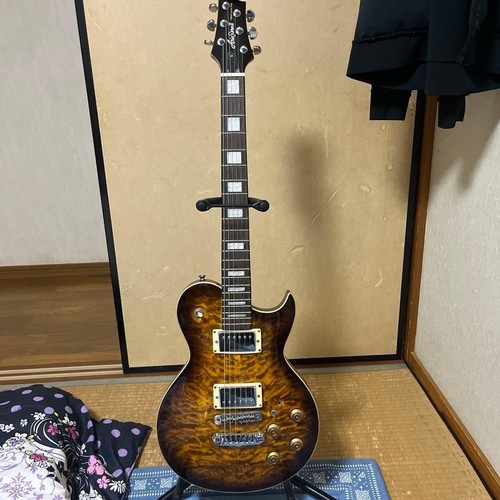 Chitarra elettrica aria - aria, pro