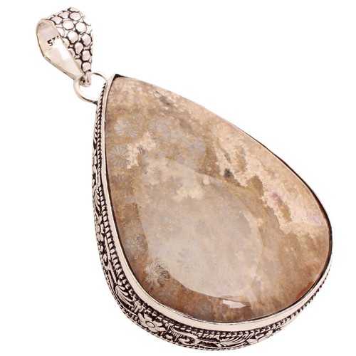 Fossil corallo gemma placcato - gemma,