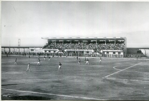 Molfetta stadio poli - molfetta-stadio, poli"