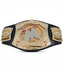 John Cena WWE Spinner