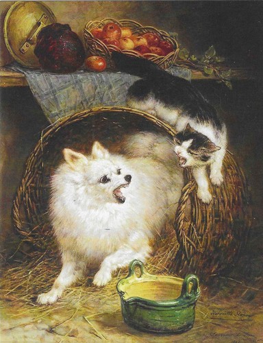 Nuova cartolina cani - nuova,