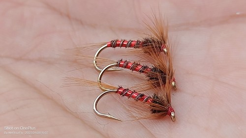 Cruncher nemo taglia 12 - 3,
