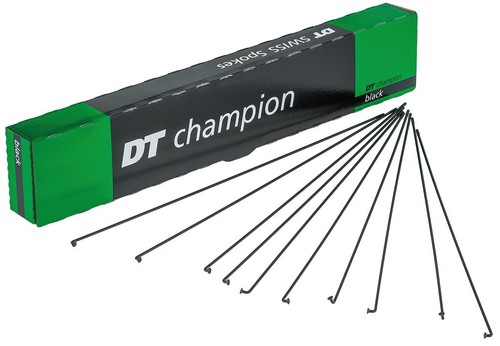 Raggi swiss champion m - dt,