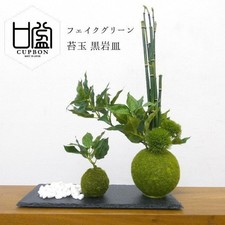 Tazza Bonsai Sakura Foglia