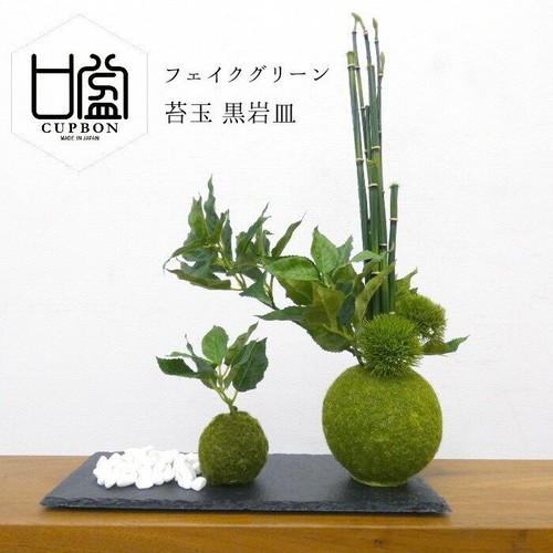 Tazza bonsai sakura - sakura, foglia