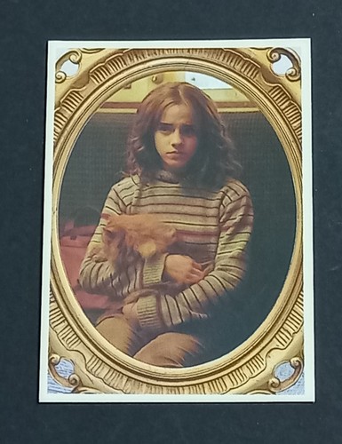 Conad figurina harry potter - harry,
