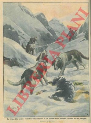 Beltrame il direttore - beltrame, a.