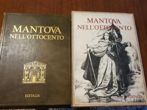 Libro mantova nella ottocento - libro,