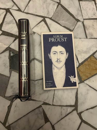 Proust album meridiani - album,