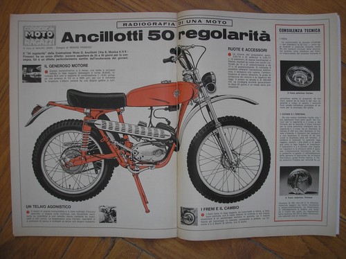 Ancillotti regolarita - ancillotti,