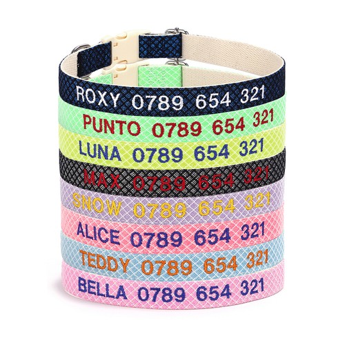 Collare cane personalizzato - collare,