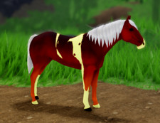 Cavallo Wild Horse Islands
