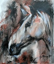 Ritratto cavallo bianco e - ritratto,