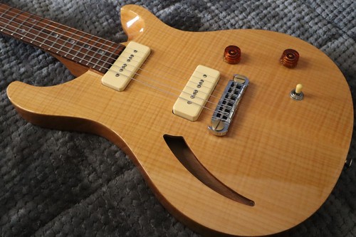 Prs custom semi cavo - se,