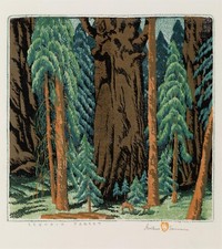 Foresta di Sequoia di Gustave