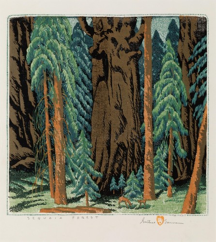 Foresta sequoia gustave - foresta,
