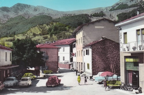 Tagliole - ,