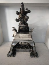 CANNA DELLO STERZO (PIANTONE)