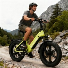 Bicicletta elettrica 20'' 48V 20Ah 250W 25KM/H mountain bike elettrica fuoristrada fatbike