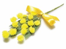 FESTA DELLA DONNA Mazzolino di