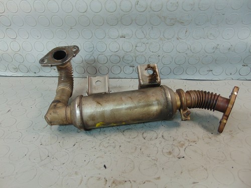 Valvola egr ford - ford, focus