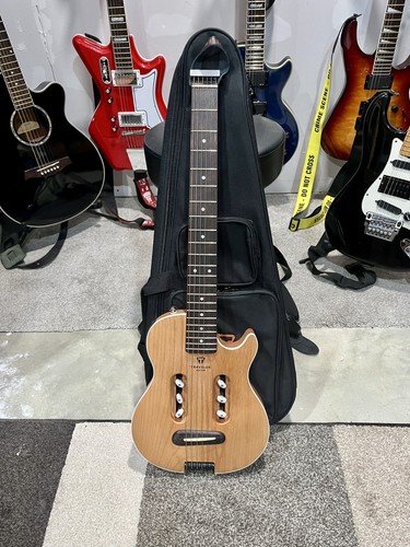 Chitarra elettrica acustica