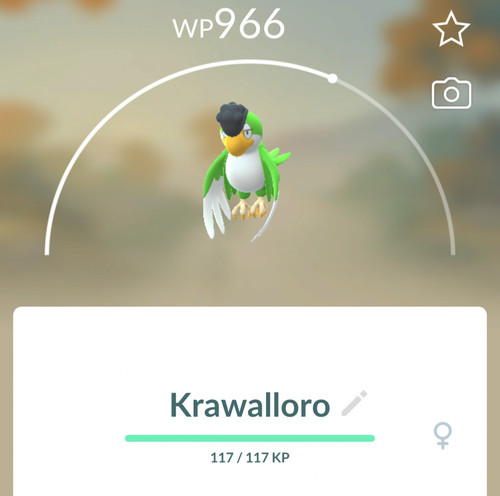 Pokemon krawalloro - go,