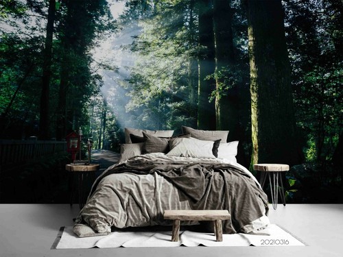 Carta parati forest road - da,