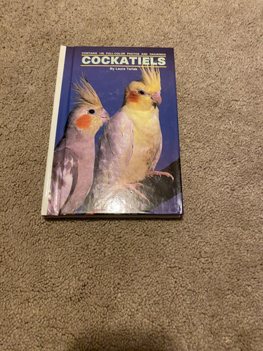 Cockatiels laura tartak - cockatiels,