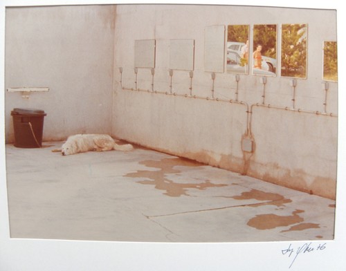 Luigi ghirri fellegara - (fellegara, –