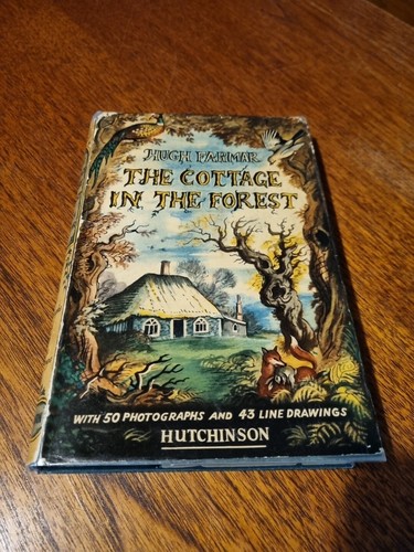 The cottage - in, forest