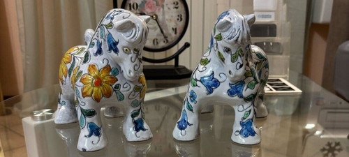 Coppia splendidi cavalli - splendidi,