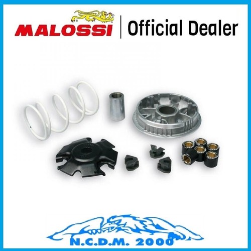 Variatore malossi multivar - variatore,