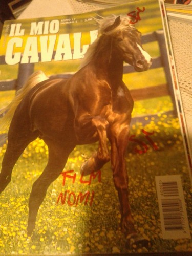 Lotto riviste mio cavallo - lotto,