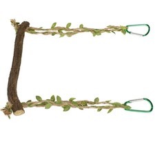  Altalena Per Calopsite