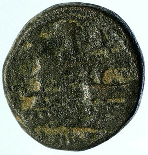 Carne fenicia autentica - carne,