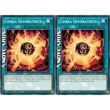 2x CIPREA DIVORATRICE • (Swallow's Cowrie) • Comune • PHNI IT088 • 1Ed • Yugioh!
