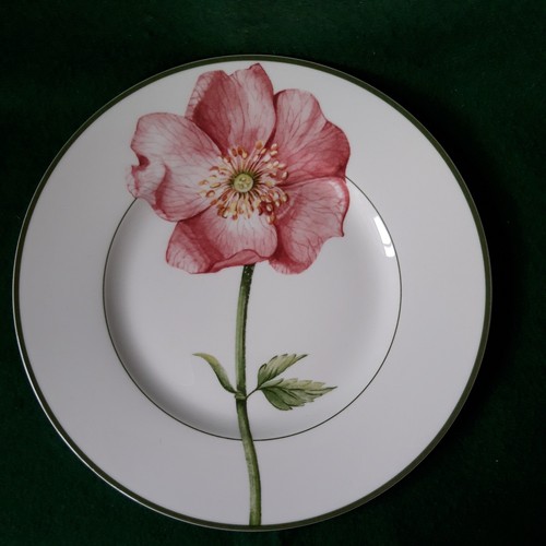 Villeroy boch flora insalata - &,
