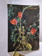 Cartolina Buon Compleanno